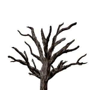 Meet your Posher, Je